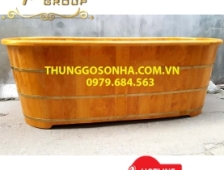 Giới thiệu bồn tắm nằm có chân & Công dụng bồn tắm gỗ