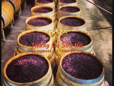 THÙNG GỖ SỒI - SẢN PHẨM HOÀN HẢO